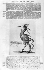 Mythische Kreaturen, 1678 von Athanasius Kircher