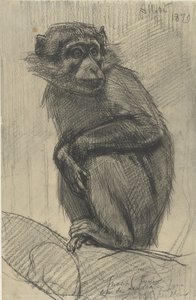 Affe auf einem Ast von August Allebe