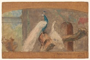 Entwurf für ein Dessus-de-porte: Ast mit Pfau und anderen Vögeln von August Allebe