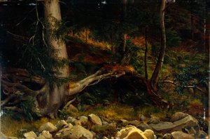 Studie des Waldbodens von August Cappelen