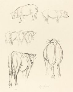 Tierskizzen
