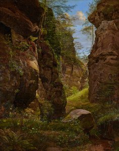 Felsenschlucht im Uttewalder Grund in der Sächsischen Schweiz