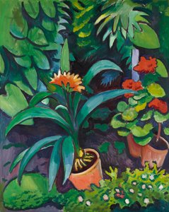 Blumen im Garten, Clivia und Pelargonien von August Macke