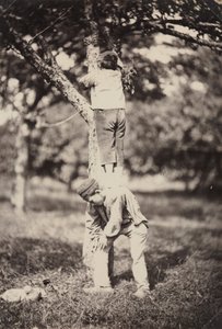 Französische Landstudie: Zwei Jungen klettern auf einen Baum von Auguste Giraudon