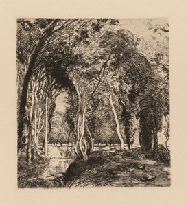 Auguste Lepère: Sous bois, à la Rigonette Vendée von Auguste Louis Lepère