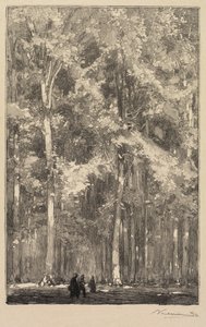 Fontainebleau Wald: Morgen, Kreuzung der Route der Forts de Marlotte..., 1890