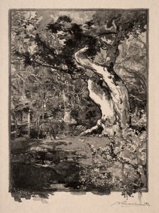 Der Clovis, Plateau de Bellecroix von Auguste Louis Lepère