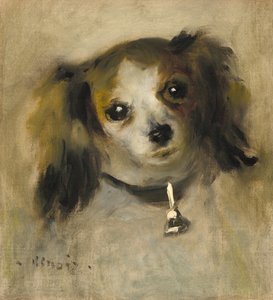 Kopf eines Hundes von Auguste Renoir