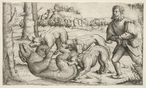 Eine Bärenjagd von Augustin Hirschvogel