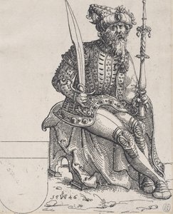 Maximilian I., aus Herberstain, Rerum Moscoviticarum Commentarii, 1546 von Augustin Hirschvogel