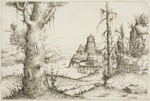 Flusslandschaft mit großem Baum im Vordergrund von Augustin Hirschvogel