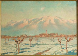 Landschaft bedeckt mit Schnee