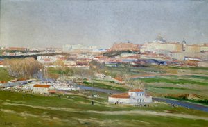 Die Wiese von San Isidro