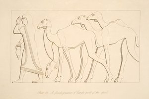 Eine weibliche Gefangene und ein Kamel, Illustration aus Denkmäler von Ninive, 1849 von Austen Henry Layard