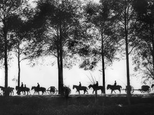 Eine Ansicht, im Silhouette, von australischen Artillerie-Limbers, die mit Munition beladen sind und entlang der Ypres-Straße fahren, 25. September 1917 von Australian Photographer