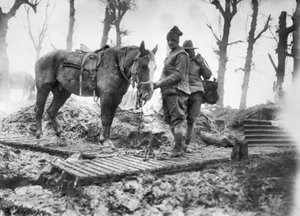 Ein Artilleriepferd, das zur Munitionstransport zu den Geschützen verwendet wird, und sein unbekannter australischer Fahrer auf einem Duckboard-Weg zwischen Mametz und Montauban, Dezember 1916