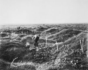 Ansicht verstreuter australischer Gräber entlang der OG1-Linie auf dem Schlachtfeld von Pozieres, 16. September 1917