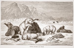 Eisbären greifen unser Gepäck an, veröffentlicht in Wien 1876 von Austrian School