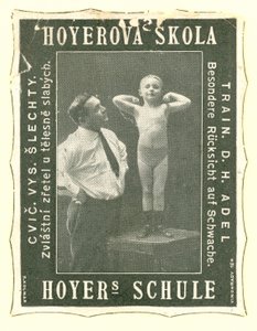 Hoyers Schule von Austrian School