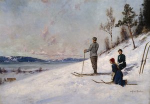 Skifahrer