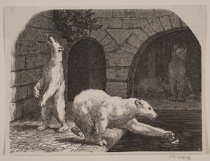 Bären im Jardin des Plantes von Axel Theodor Kittendorff