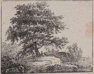 Baum auf einem Abhang am Meer von Axel Theodor Kittendorff
