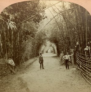 Der Mardyke, Cork, Irland von B. W. Kilburn
