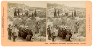 Der Garten Gethsemane und der Ölberg, Palästina, 1898