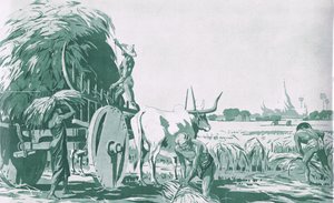 Ein Reisfeld in Burma, aus MacMillan Schulplakaten, ca. 1950-60er Jahre (Lithografie) von Ba Nyan