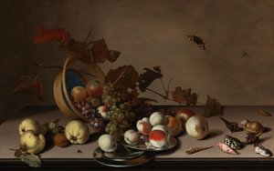 Früchtestillleben mit Weidenkorb, Muscheln und Schmetterling, erste Hälfte des 17. Jahrhunderts von Balthasar van der Ast