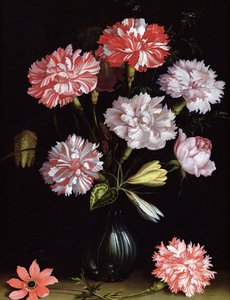 Blumenstudie: Nelken in einer Vase von Balthasar van der Ast