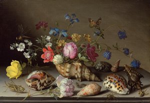 Blumen, Muscheln und Insekten auf einem Steinsims