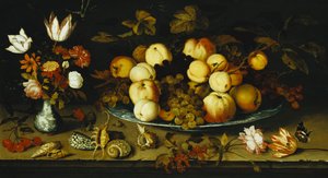 Obst auf einem Teller, Blumen in einer Wanli-Kraak-Porzellanvase, Kirsch- und Johannisbeerzweige, eine Rose, eine Tulpe, eine Nelke, eine Eidechse, eine Schnecke und ein Admiral auf einem Steinsims, Libellen darüber, 1626 von Balthasar van der Ast