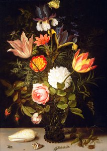 Stillleben mit Blumen in einem Römer und zwei Muscheln