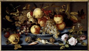 Stillleben mit Früchten, Blumen, Muscheln und Insekten von Balthasar van der Ast