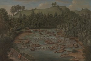 Aysgarth Wasserfälle, Yorkshire von Balthazar Nebot