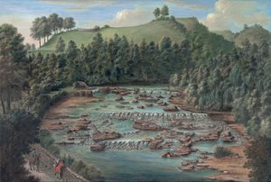 Aysgarth Wasserfälle, Yorkshire