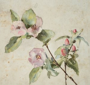 Zweige mit rosa Blumen von Barbara Leigh Smith Bodichon