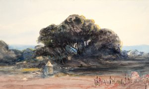 Landschaft: Kiefer und kleiner Turm