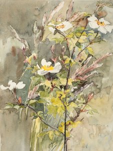 Wildblumen von Barbara Leigh Smith Bodichon