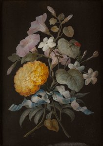 Vier Stillleben mit Schmetterlingen von Barbara Regina Dietzsch