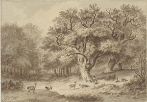 Waldlandschaft mit Hirschen