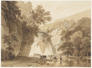 Felsige Landschaft mit trinkenden Kühen