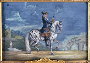 Nr. 11 Ein Appaloosa-Pferd der Spanischen Hofreitschule, aus dem kaiserlichen Gestüt in Böhmen