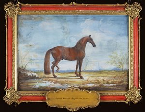 Nr. 2 Alzan de Tunis, ein Berberpferd der Spanischen Hofreitschule von Baron Reis Eisenberg