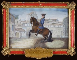 Nr. 35 Ein Barbary-Bay-Pferd der Spanischen Hofreitschule, das eine Dressurbewegung auf dem Markusplatz in Florenz ausführt von Baron Reis Eisenberg