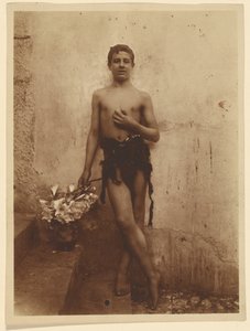 Jugend mit Lilien von Baron Wilhelm von Gloeden