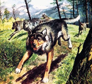 Ruf der Wildnis, basierend auf dem Roman von Jack London