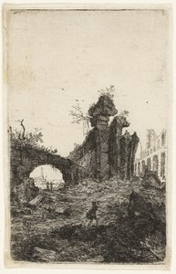 Ruinen des Kolosseums, Tafel 10 aus Die Ruinen von Rom
