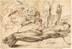 Studien eines linken Arms, einer jungen Frau, einer Madonna mit Kind, eines Profils und nackter Figuren von Bartolomeo Passarotti